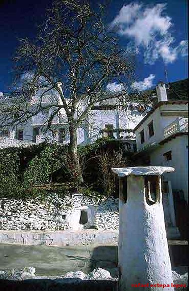 Tejados de casa alpujaras