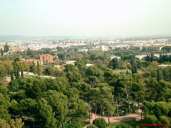 Cordoba y yo 4