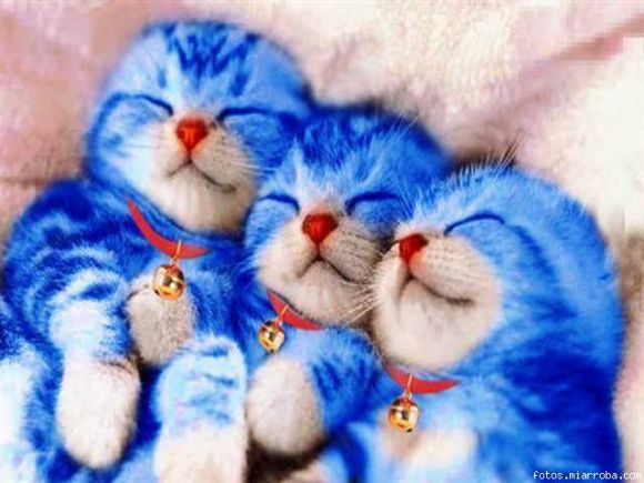 los tres doraemons^^