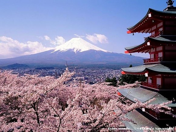 ¡Nuevo estilo Japón!