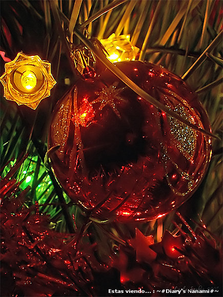 Feliz Noche Buena!