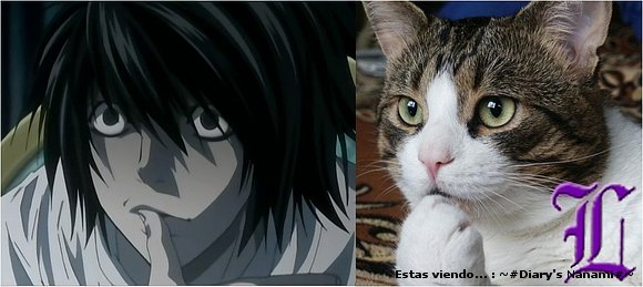 Igualitos *O*