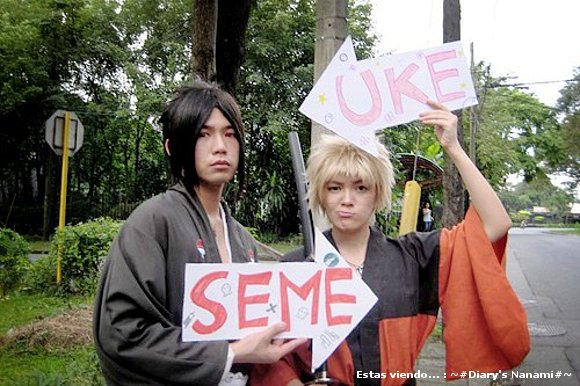 Que monos >.<!