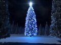Navidad 001