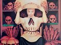 Ilusi&oacute;n mujer 2