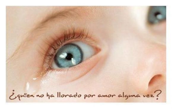 ¿Quien no a llorado alguna vez por amor?