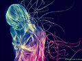 excelentes imagenes