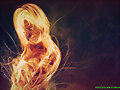 excelentes imagenes
