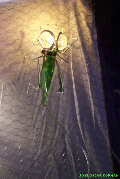 Lamparas de insectos
