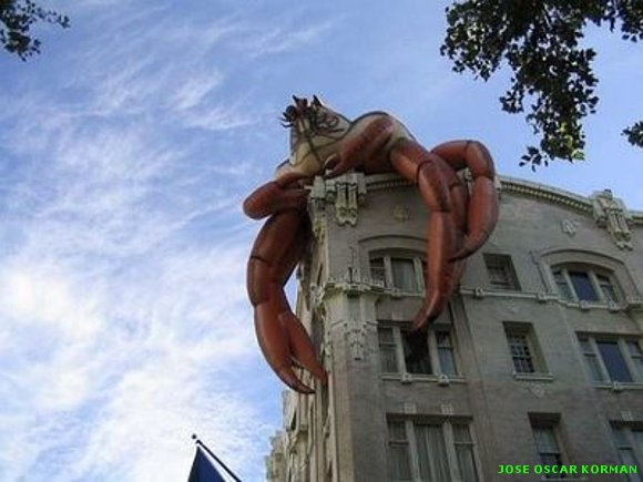 IMAGENES CURIOSAS