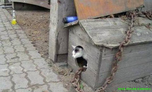 Fotos > Muy divertidas
