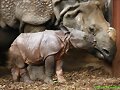 Un zoo, en im&aacute;genes