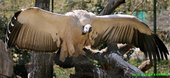 Un zoo, en imágenes