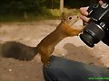 Animales y Fotografia