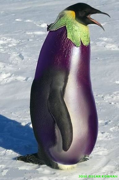 MI FOTO