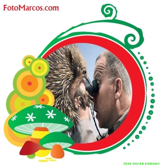MI CREACION