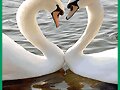 MI FOTO