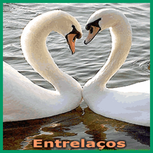 MI FOTO