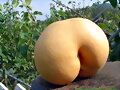La naturaleza y sus caprichos