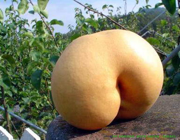 La naturaleza y sus caprichos