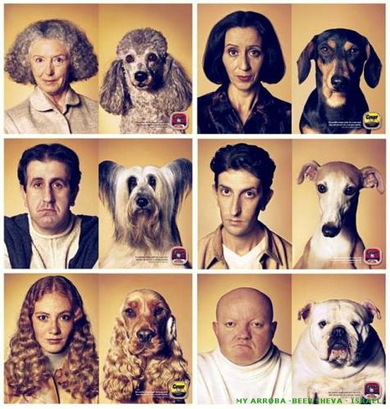 ¿Se parecen los perros a sus dueños?
