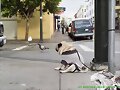 PERRITO TRISTE; POBRE ?