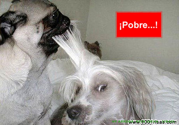 MI FOTO