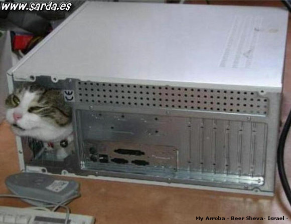 GATO INFORMATICO