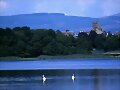 Nature Reserve, Castle Loch, Lochmaben