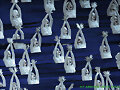 2008 Summer Paralympic Games