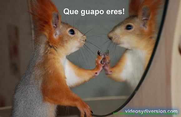 Fotos de lindos animalitos!