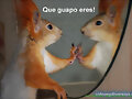 Fotos de lindos animalitos!