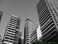 FOTOS EN BLANCO Y NEGRO -BUENOS AIRES-ARGENTINA-