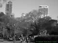FOTOS BLANCO Y NEGRO -BUENOS AIRES-ARGENTINA