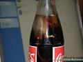 Un rat&oacute;n en un refresco de coca-cola!