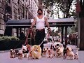 FOTOS INSOLITAS Animales