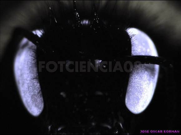 MI FOTOGRAFIA