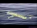 Glider bajo el agua