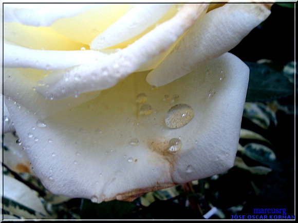 MI FOTO