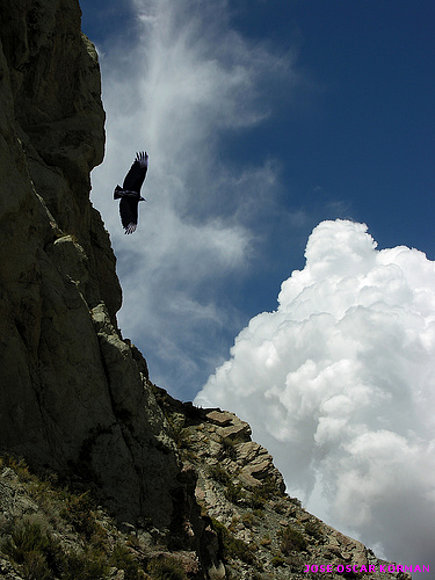 Volando en las Alturas