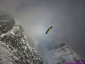 Vuelo entre las Nubes