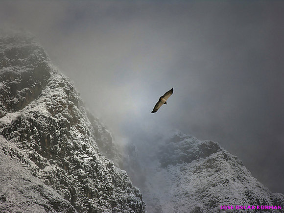 Vuelo entre las Nubes