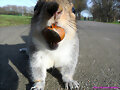 Squirrels!