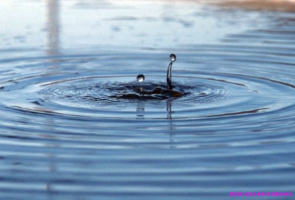 Gota d'aigua a un abeurador