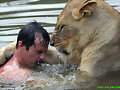 Ba&ntilde;andose con su amigo el le&oacute;n!