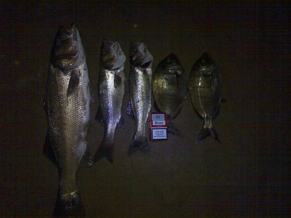 pescata de un compañero y un servidor 29,7 ,2008