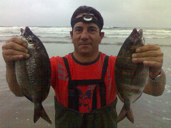 xargos en salinas