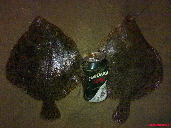 rodaballos