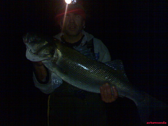 lubina de 7,1 kilos pescada en ballas por antonio