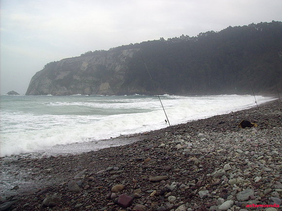 playa de la concha de artedo